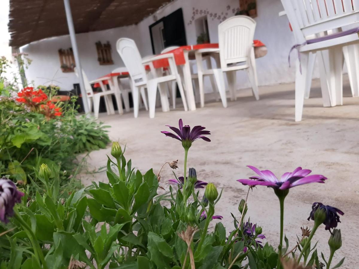 Es Barranco Guest House Ferreries Luaran gambar